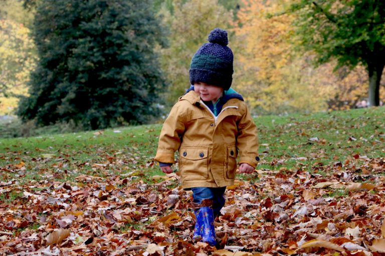 a toddler plays in fall leaves