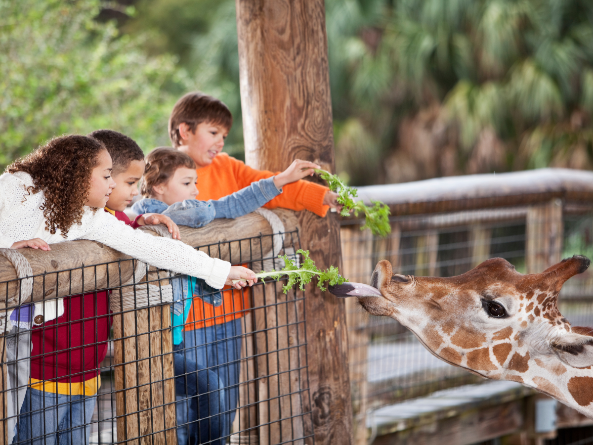 things to do in Atlanta with kids: kids feeding a giraffe