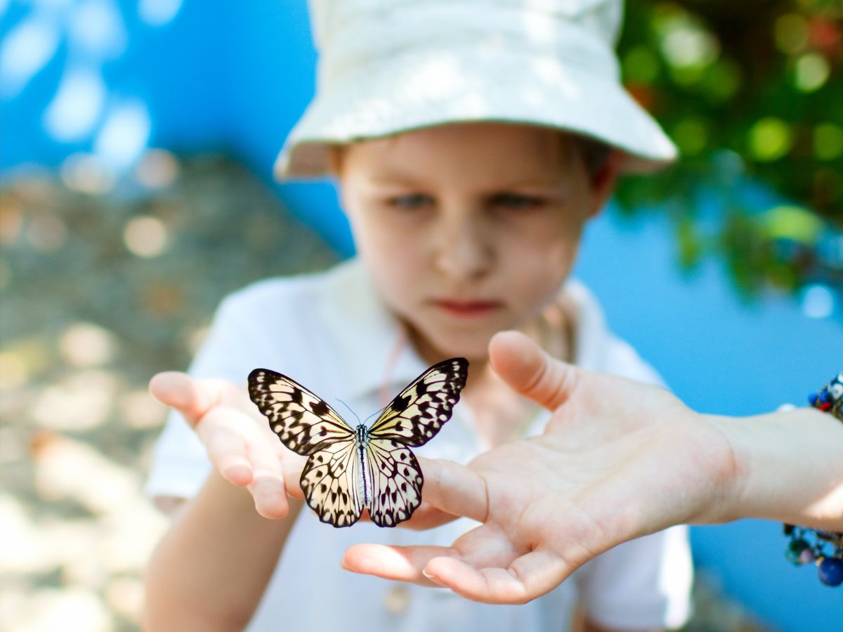 Day Trips from Atlanta: kid with a butterfly