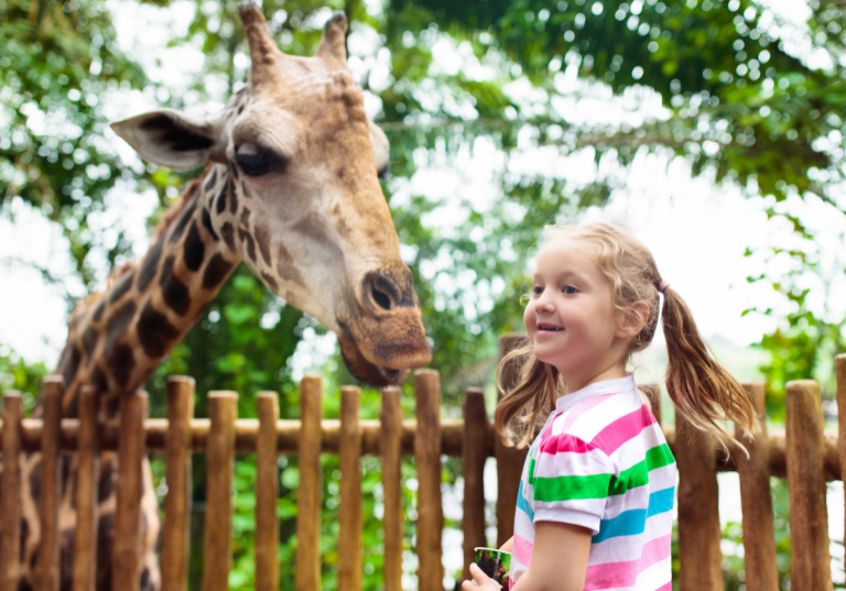 top 14 things to do in Nashville with kids: girl at the zoo with a giraffe