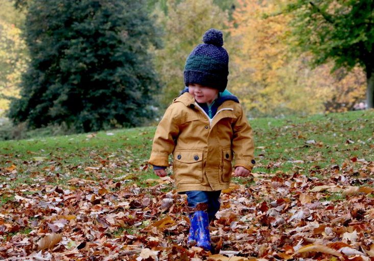 a toddler plays in fall leaves